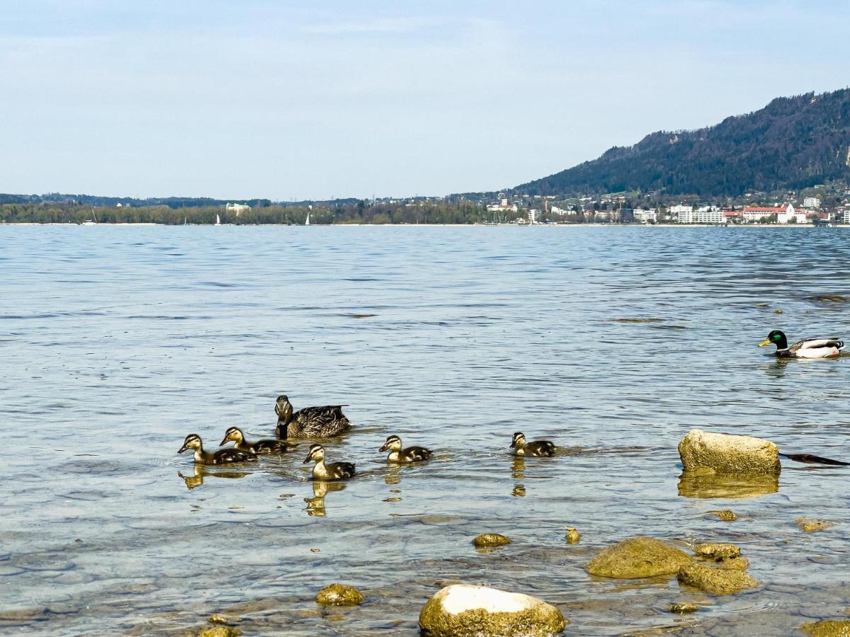 Ferienwohnung Bregenz 6 Top 4 Екстер'єр фото